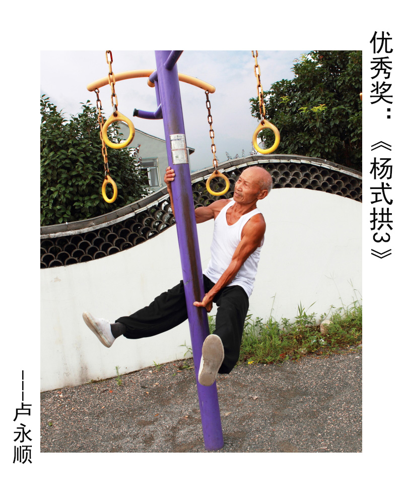 优秀奖：《杨式拱3》---卢永顺.JPG