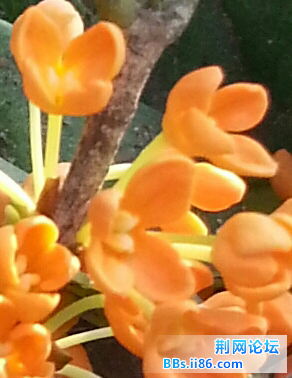 20140927_081902-2-2.jpg