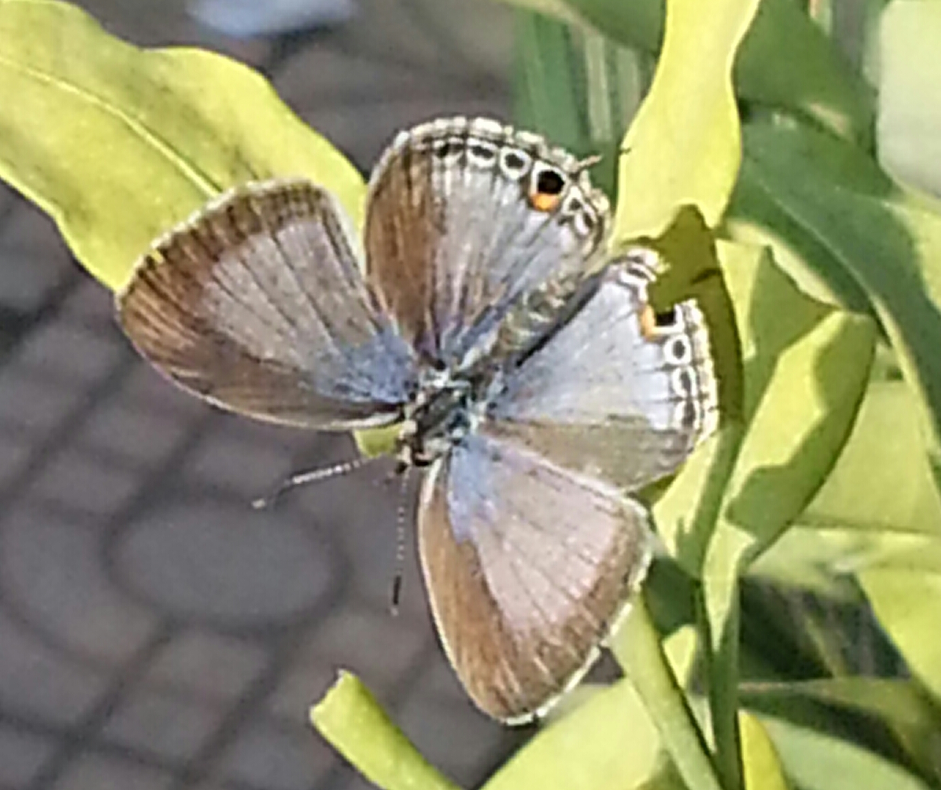 20141023_075317-1.jpg