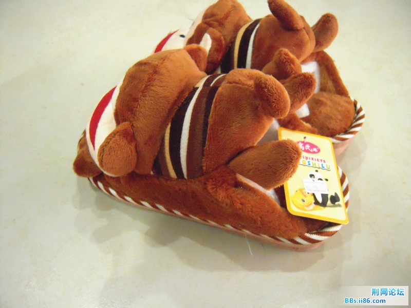 DSCN5455.JPG