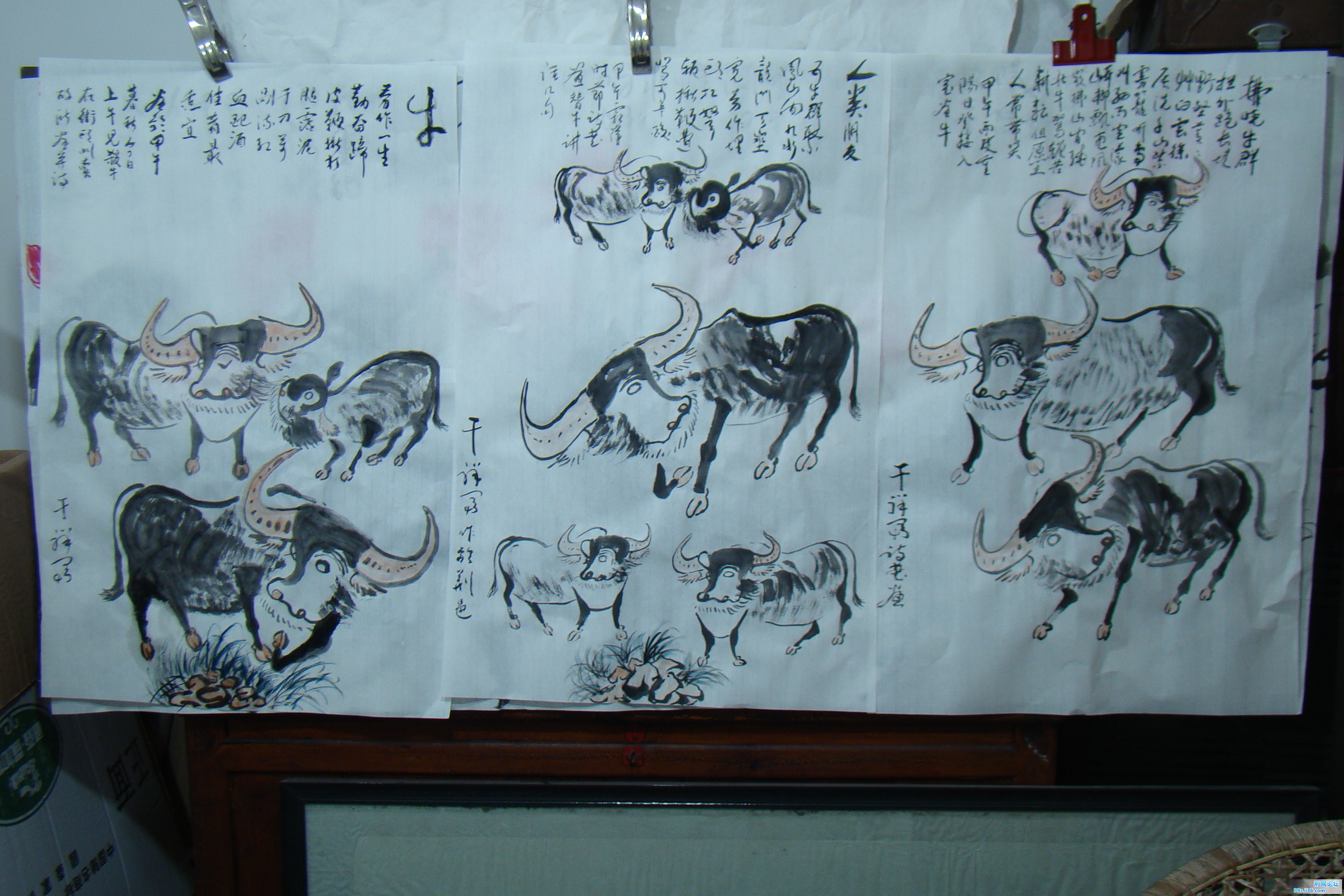 DSC09762.JPG