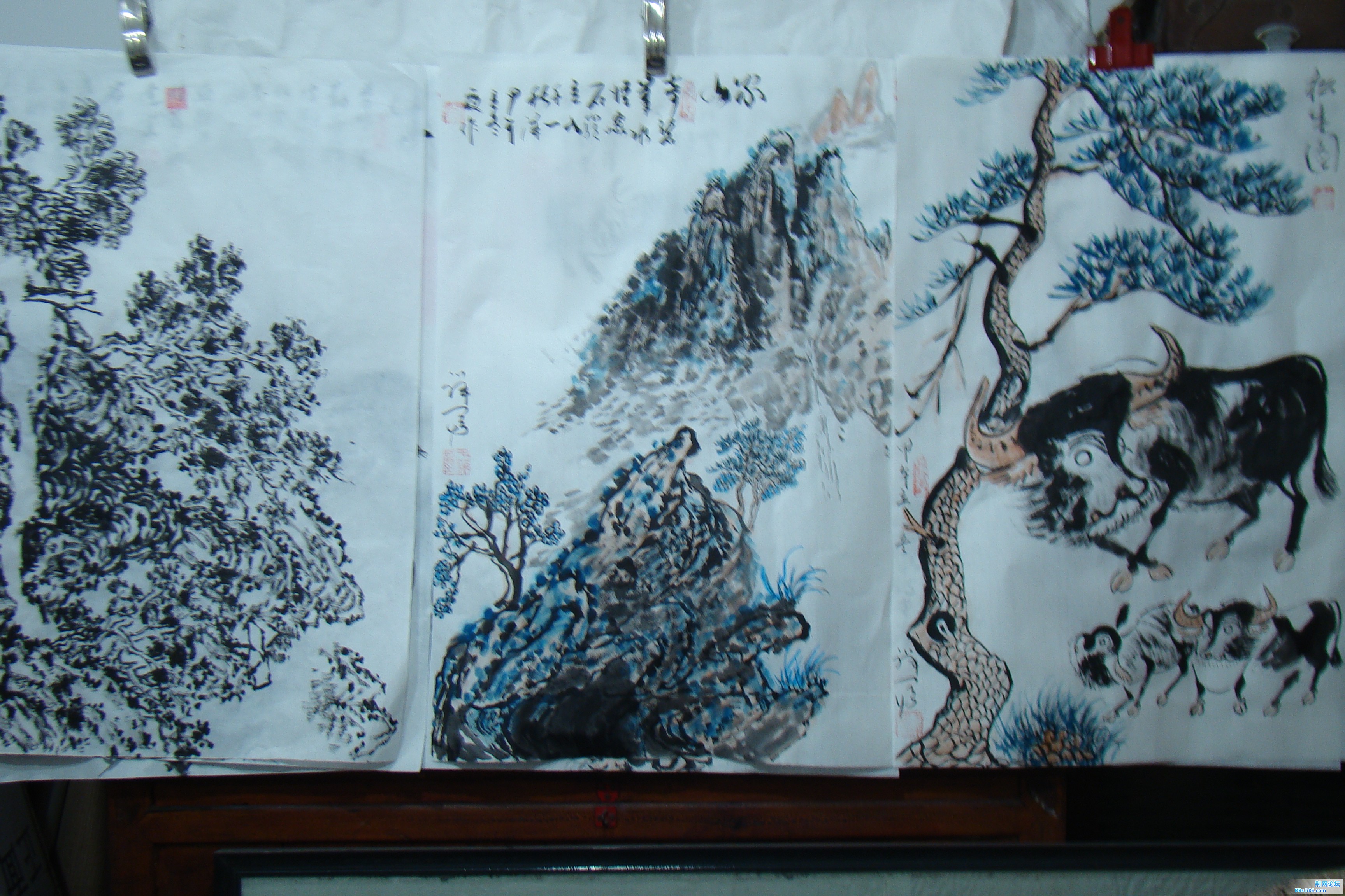 DSC09764.JPG