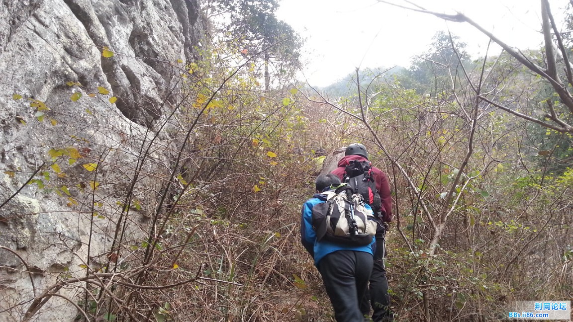 20150110_083523_眸目压缩.jpg