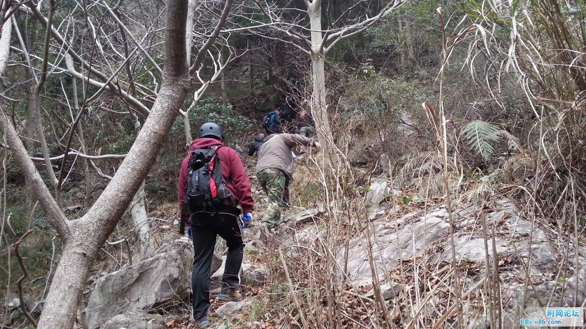 20150110_083641_眸目压缩.jpg