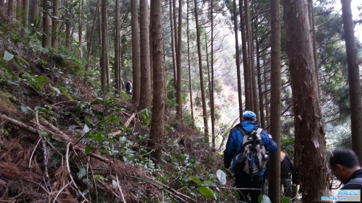20150110_091021(1)_眸目压缩.jpg