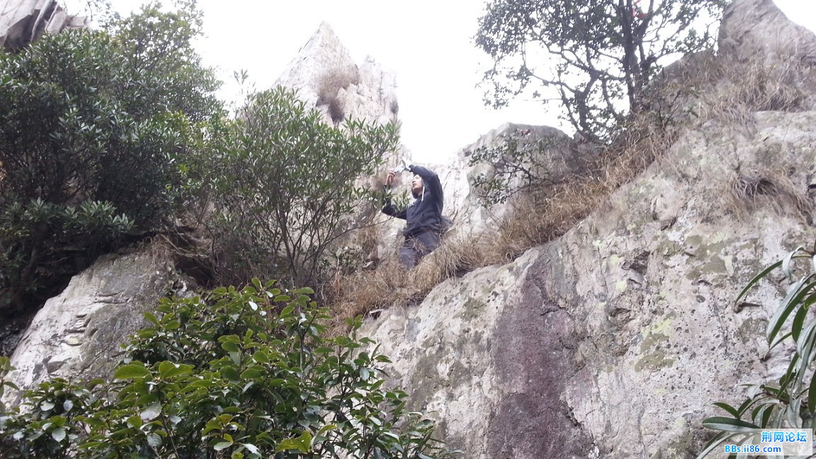 20150110_093101_眸目压缩.jpg