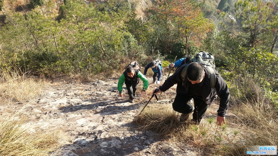 20150111_083011_眸目压缩.jpg