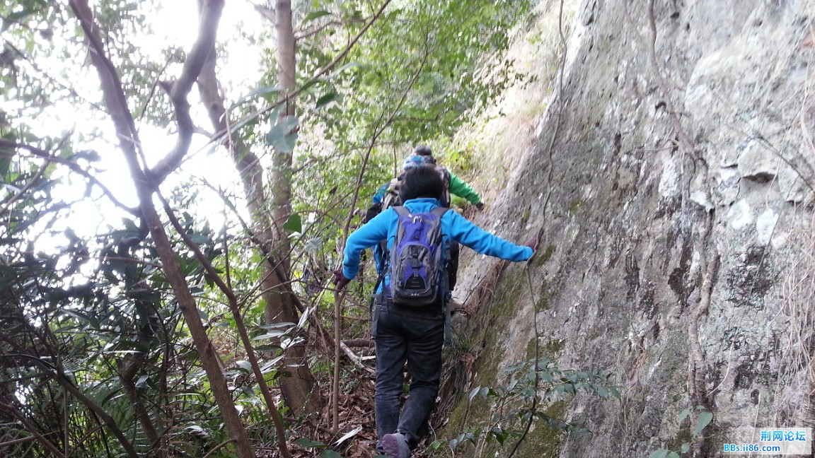 20150111_132309_眸目压缩.jpg