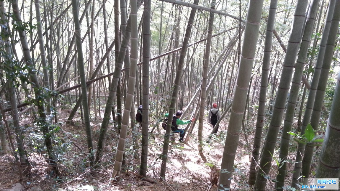 20150111_133956_眸目压缩.jpg