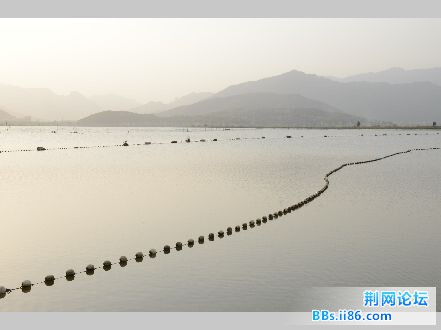 QQ图片20150119200456.jpg