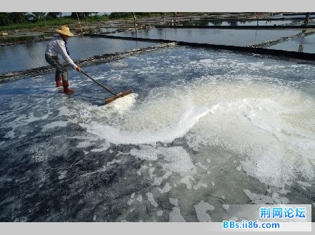 QQ图片20150119200529.jpg