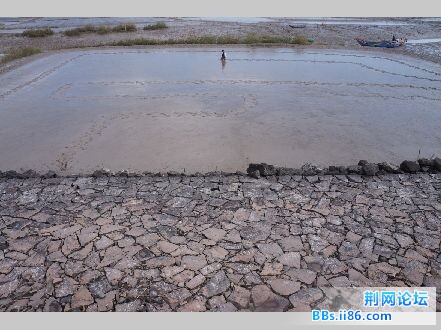 QQ图片20150119200534.jpg