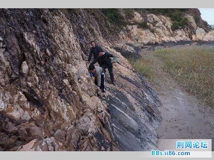 QQ图片20150119200549.jpg