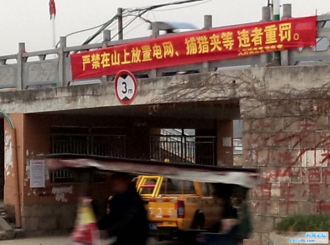 QQ截图20150127082055.jpg