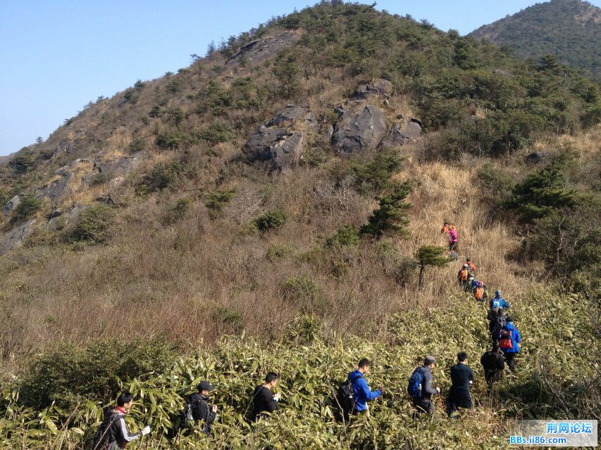 QQ图片20150216121937.jpg