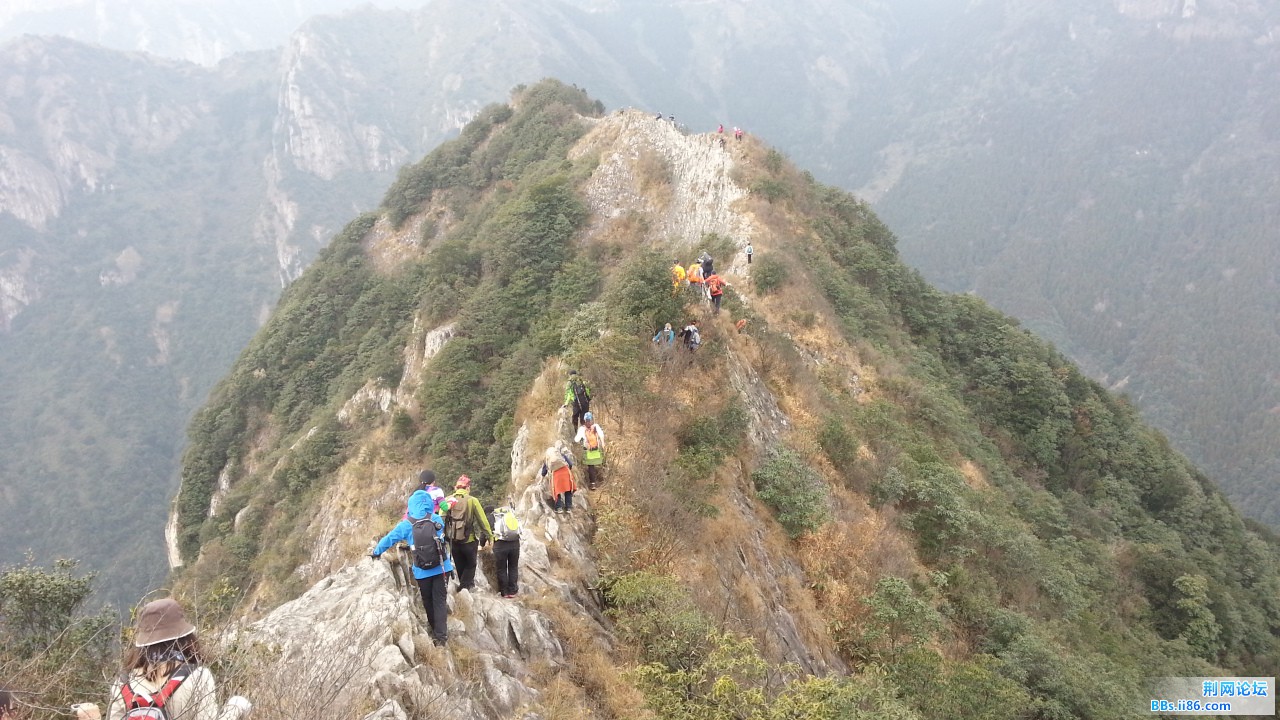20150214_111335.jpg