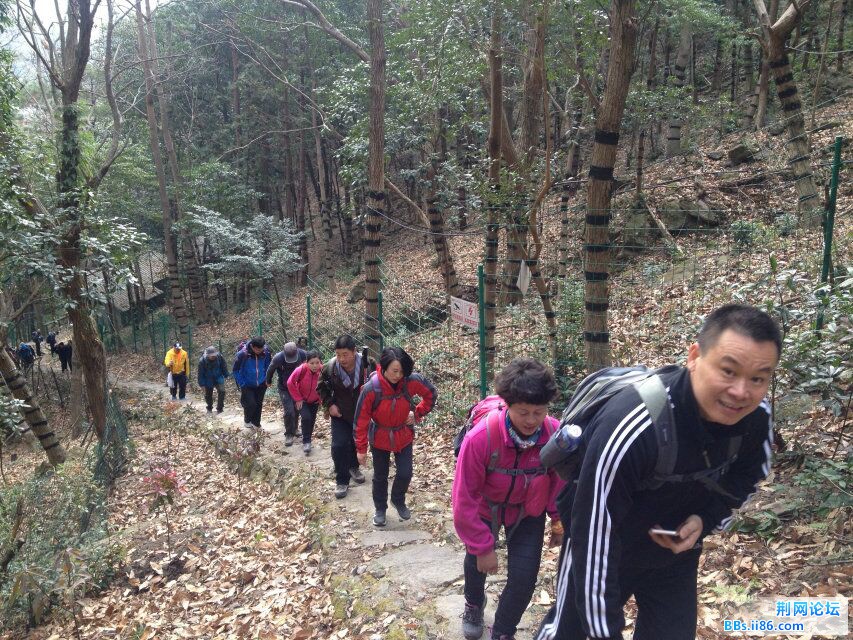 QQ图片20150217131800.jpg