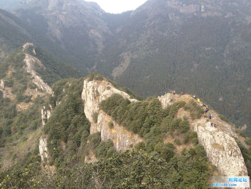 QQ图片20150217131950.jpg