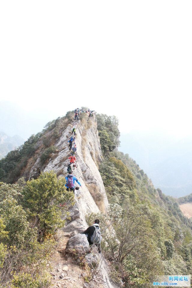 QQ图片20150217132043.jpg
