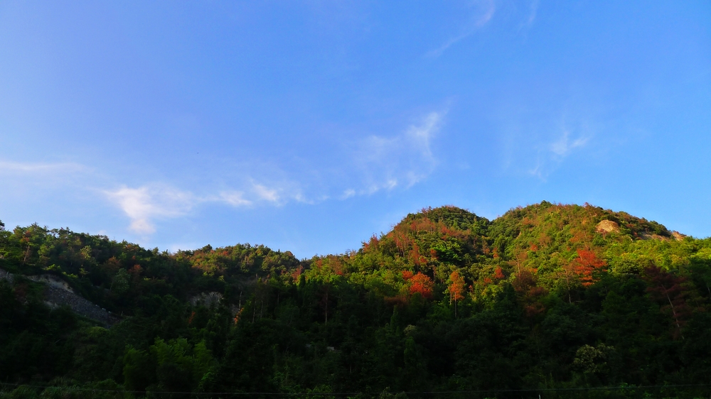 P1000217.jpg