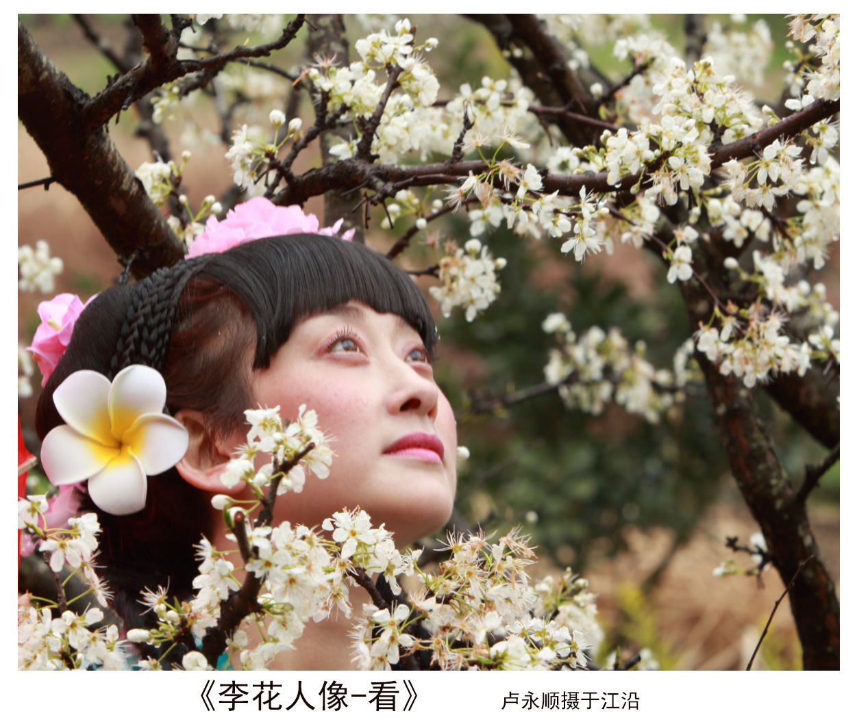 1《李花人像-看》IMG_2971.JPG