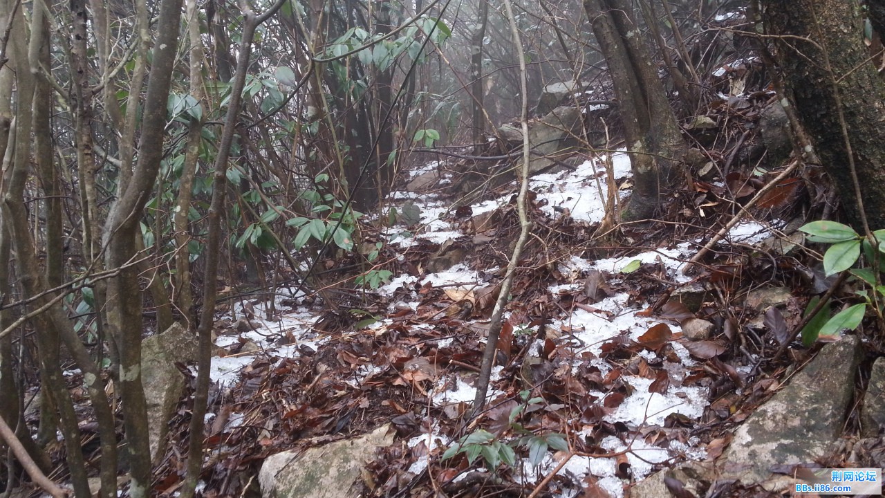20150307_113322.jpg