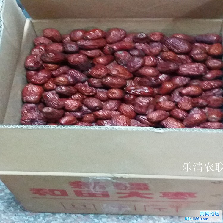 清洗灰枣5.jpg