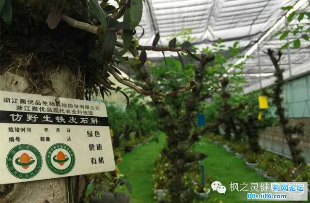 QQ图片20150704134132.jpg