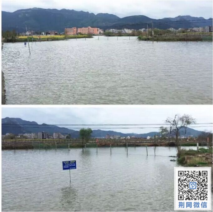 QQ图片20151110184607.jpg