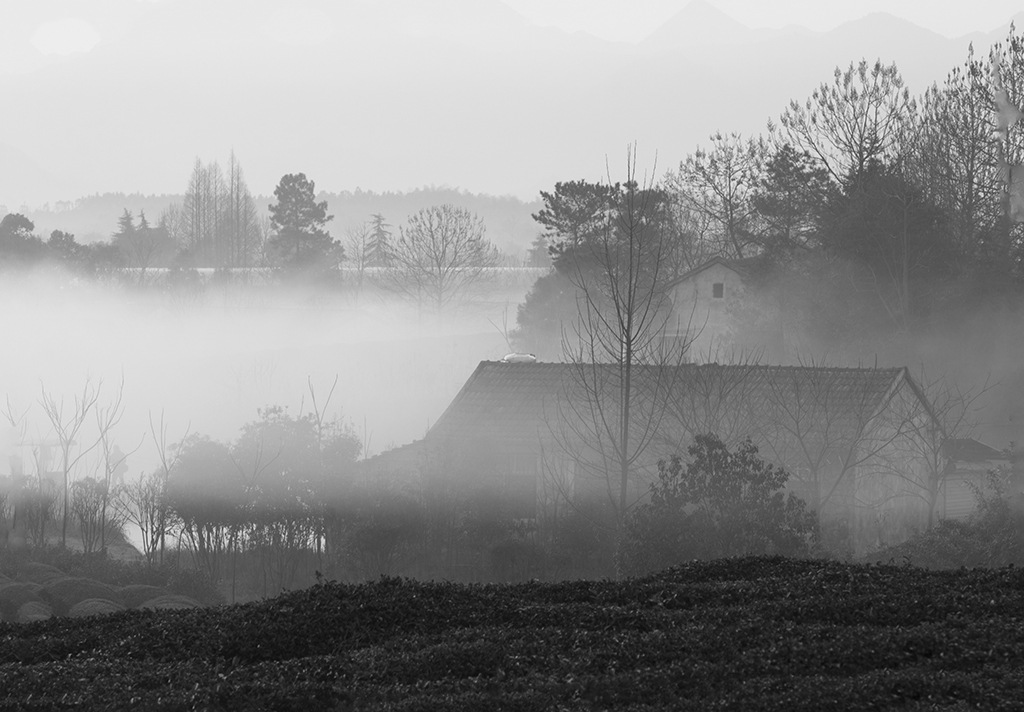 IMG_1411副本.jpg
