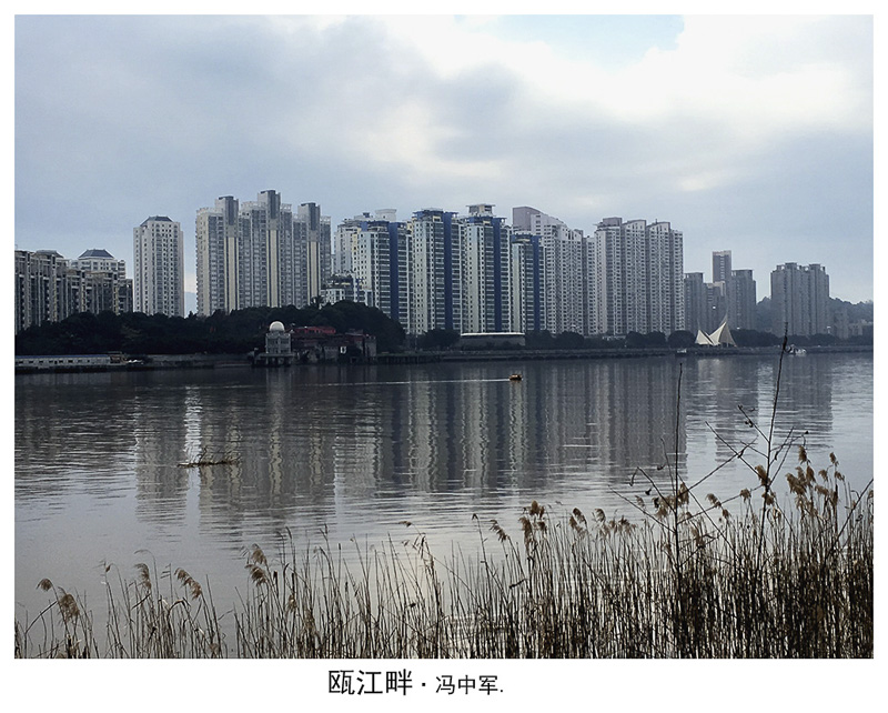 冯中军-瓯江畔.jpg