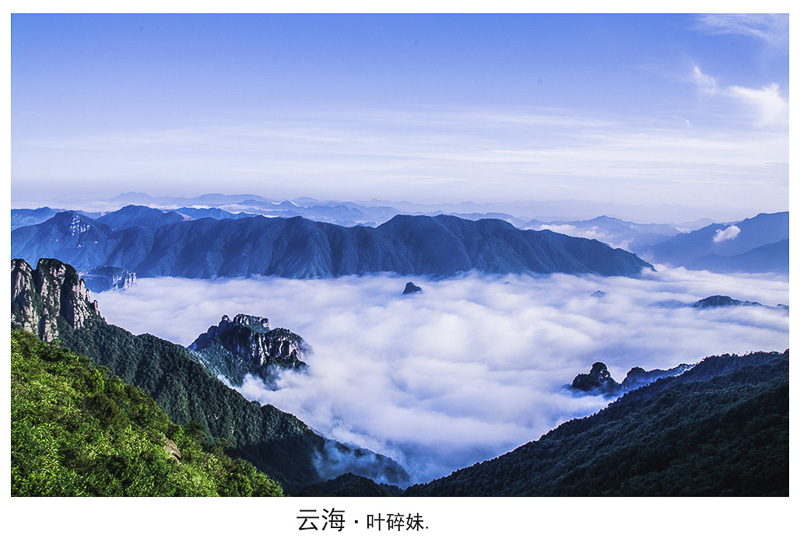 叶碎妹-云海.jpg