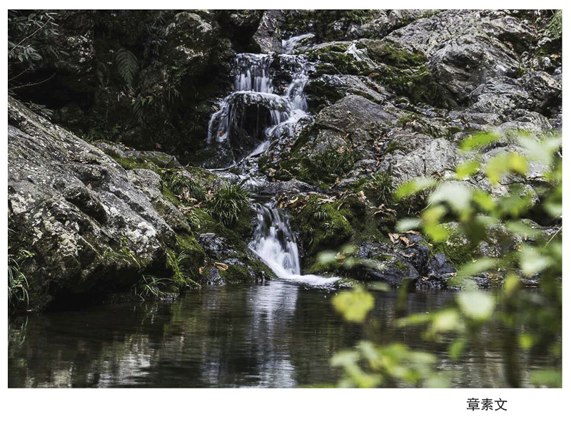 章素文 (3).jpg