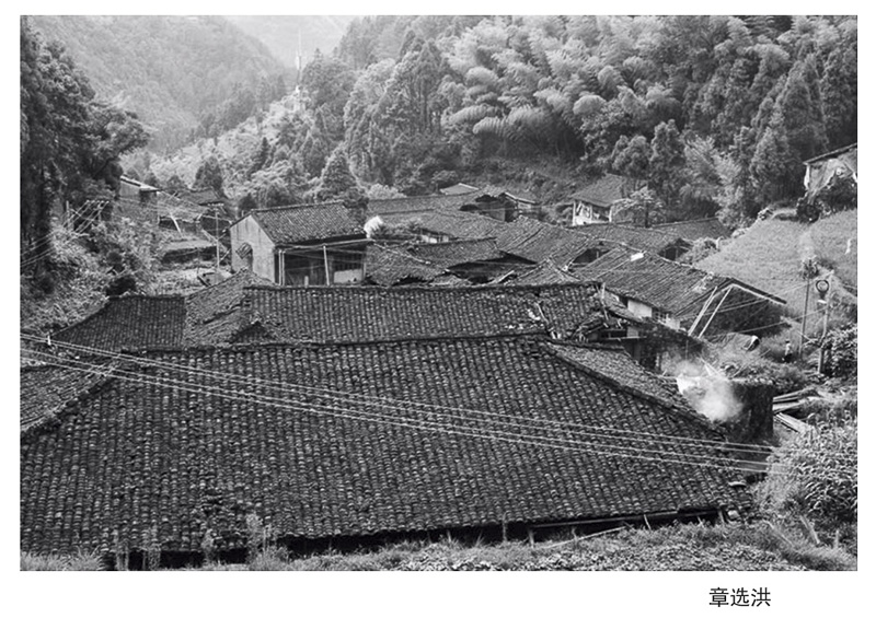 章选洪.jpg