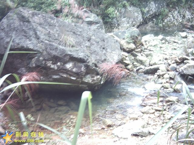 PICT0094.JPG