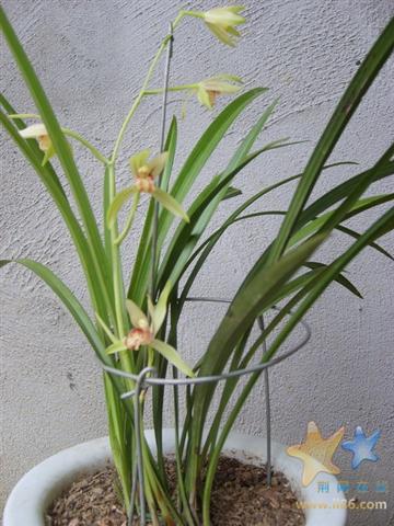 S6000190.JPG