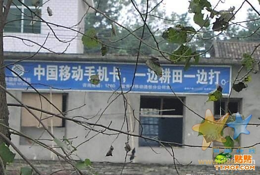 20071109085358504.jpg