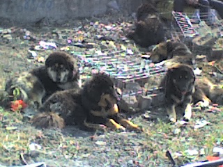 10-12-07_1143.jpg