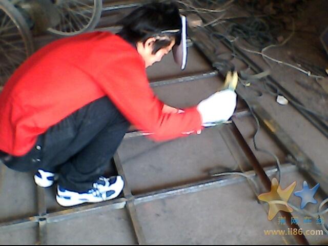 IMG0217A.jpg