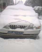 看这车还在睡梦中