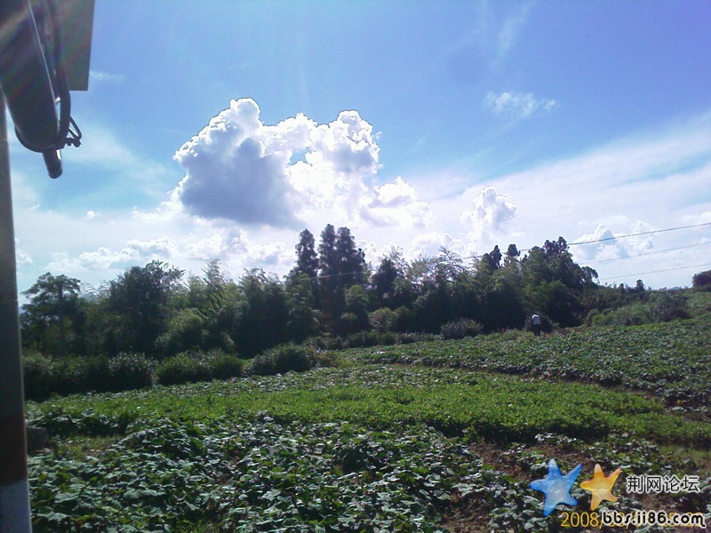 IMAGE_00016.jpg