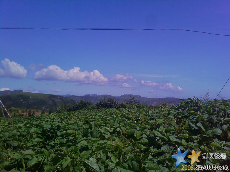 IMAGE_00011.jpg