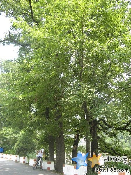 IMG_7521_nEO_IMG.jpg