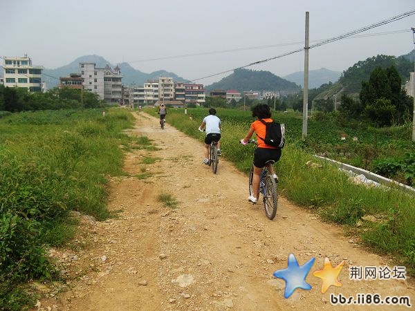 IMG_7717.jpg IMG_7717.jpg