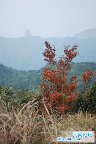 DSC_0215.JPG