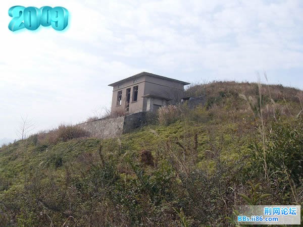SDC12819.jpg