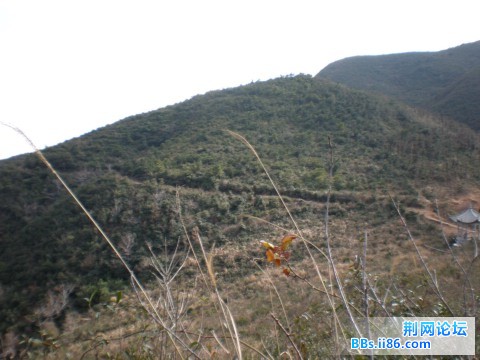 P1305445.JPG