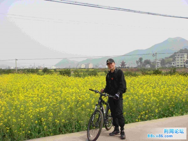 芙蓉车友