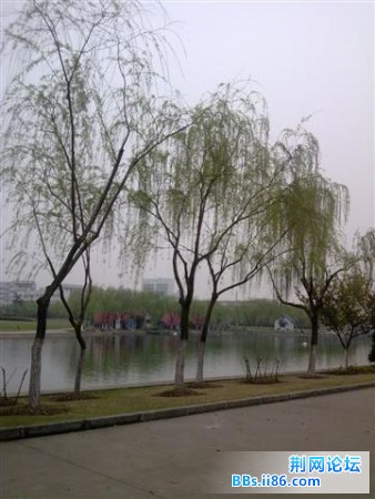 20090407404 (小).jpg