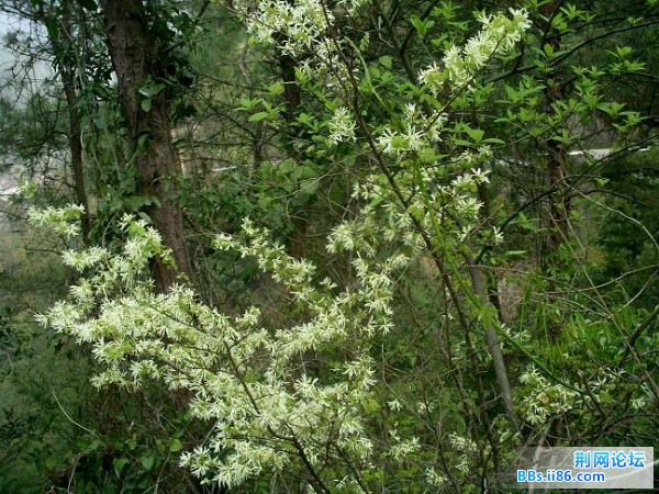 PICT0327.JPG